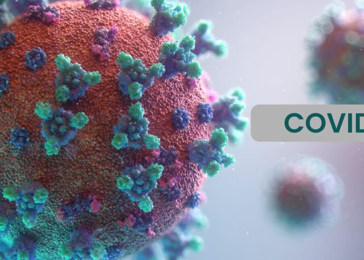 DKP SELAMATKAN ARSIP COVID-19