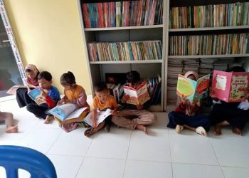 PERPUSDES MASIH MINIM KOLEKSI