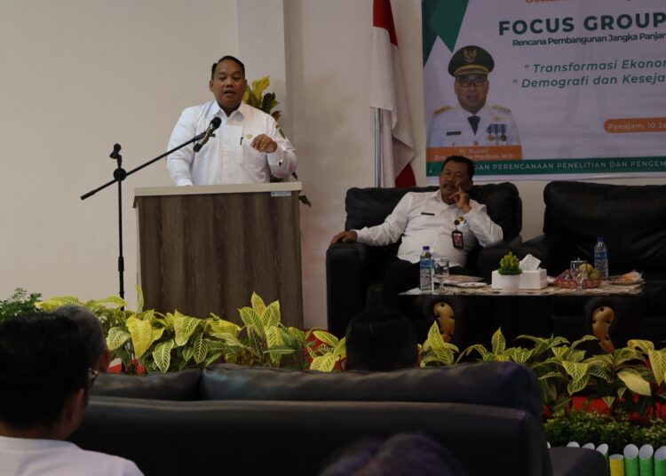 PPU SUSUN RPJD 20 TAHUN