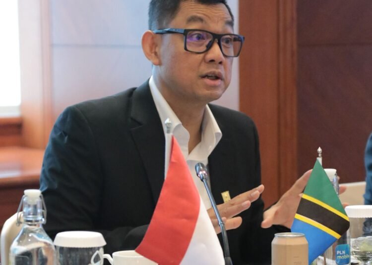 TANESCO PERLUAS KERJASAMA PLTP