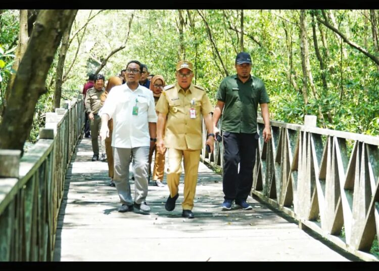 PPU AKAN REVITALISASI EKOWISATA MANGROVE