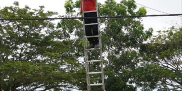 PEMKAB MINTA APJII RAPIKAN KABEL