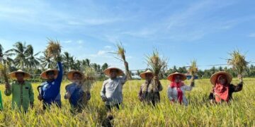 PHM PANEN RAYA PADI ORGANIK PERDANA