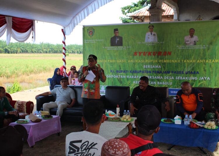 PJ BUPATI HADIR DI SYUKURAN PANEN RAYA