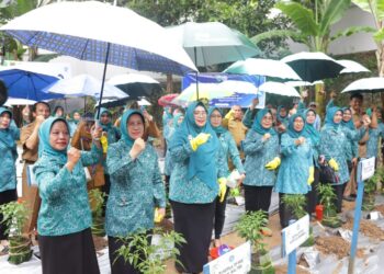 KALTIM IKUT GERTAK TANAM CABAI