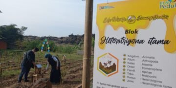 CSR PLN HASILKAN 22 PENGHARGAAN