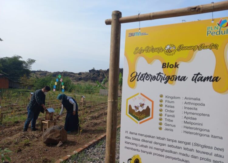 CSR PLN HASILKAN 22 PENGHARGAAN