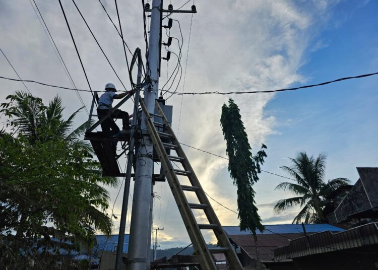 PLN PERCEPAT NORMALISASI LISTRIK MAHULU