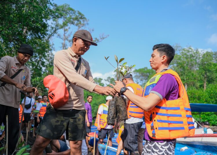 PLN SUKSES KEMBANGKAN HUTAN MANGROVE