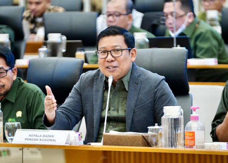 BAPANAS AMANKAN STOK PANGAN IDUL ADHA