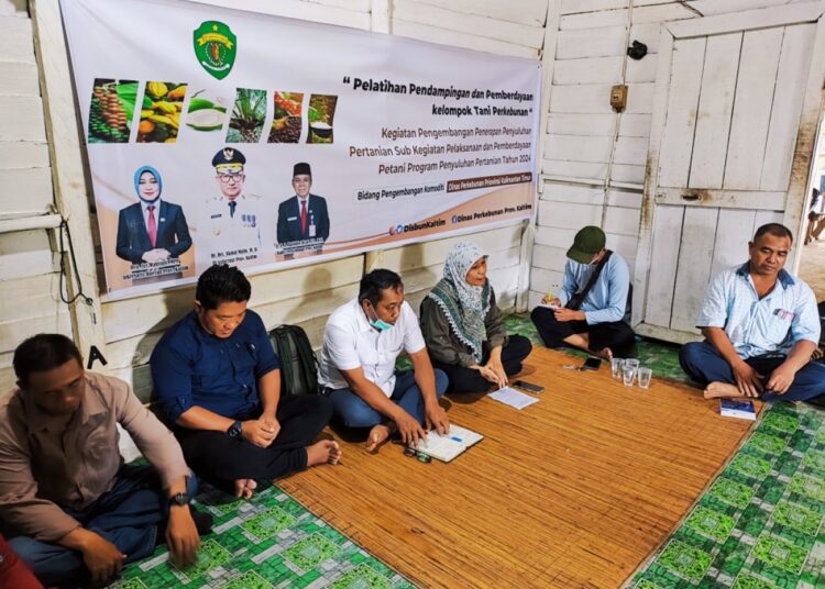 PETANI KALTIM MASIH TERKENDALA PEMASARAN