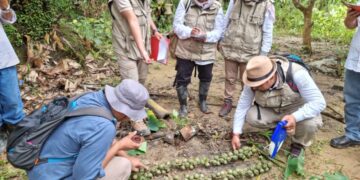 KUKAR JADI KEBUN BENIH AREN