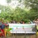 PEDULI LINGKUNGAN, KPI TANAM 300 MANGROVE