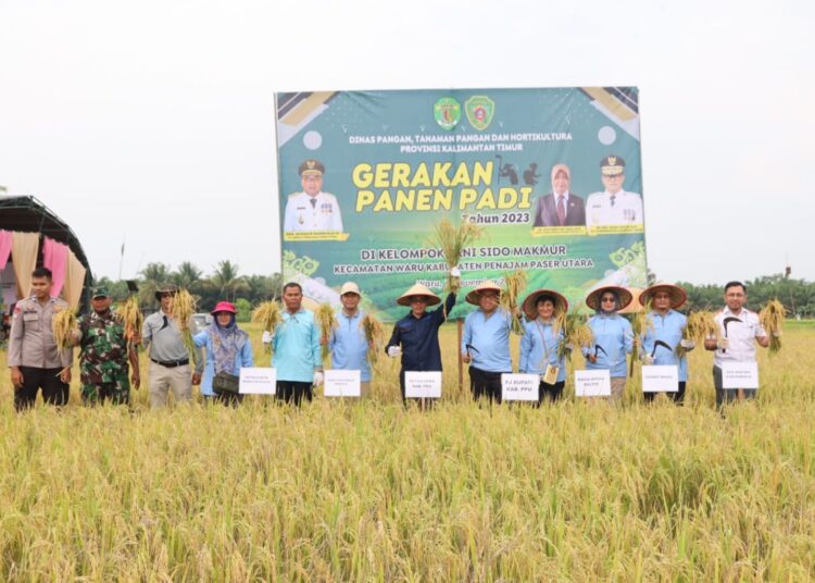 PEMERINTAH DORONG PENGUATAN EKONOMI DESA