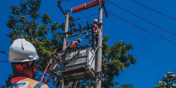SETORAN DEVIDEN PLN CAPAI 3,09 TRILIUN