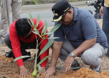 PPU Akselerasi Sistem Lingkungan