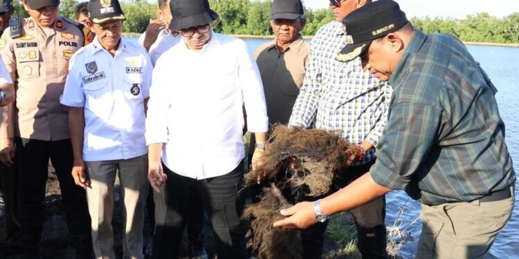 Pemkab Dukung Budidaya Rumput Laut