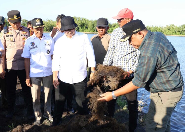 Pemkab Dukung Budidaya Rumput Laut