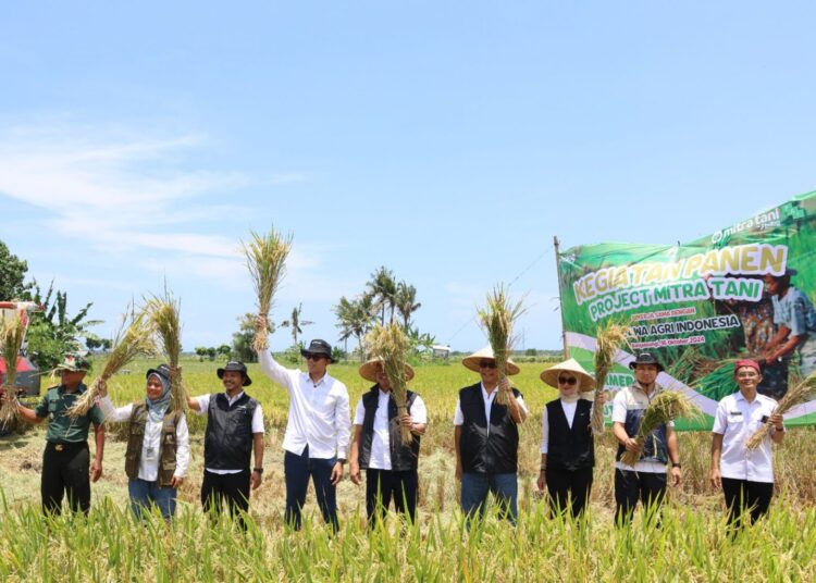 Bulog Konsisten Serap Panen Petani