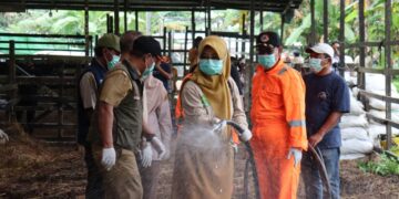 50 Sapi Kaltim Dilaporkan Terjangkit LSD