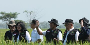 Bulog Mulai Terapkan HPP 2025