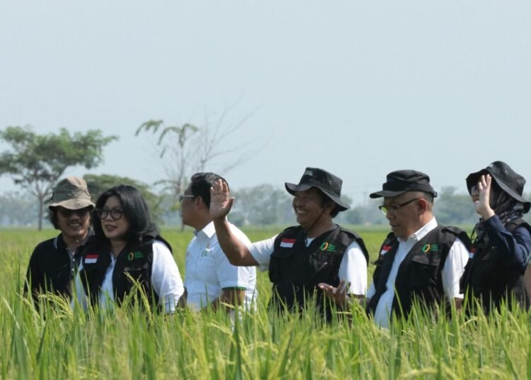 Bulog Mulai Terapkan HPP 2025