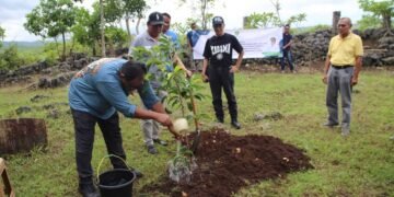 PPU Pelajari Penghijauan Lahan Kritis