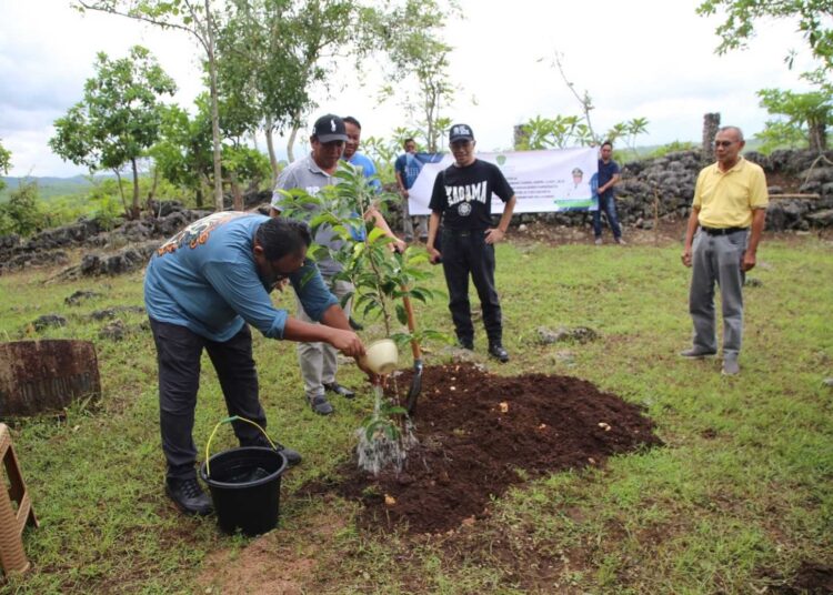PPU Pelajari Penghijauan Lahan Kritis