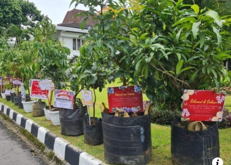 Tradisi Kirim Karangan Bunga