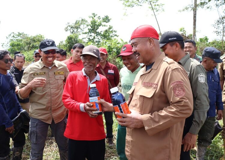 Bupati Dukung Pengembangan Sawah Mulawarman