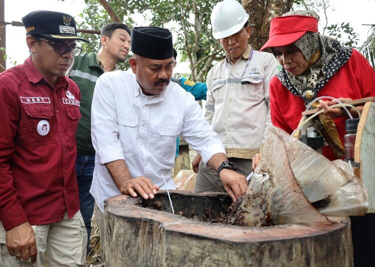 Bupati Turut Panen Madu Kelulut