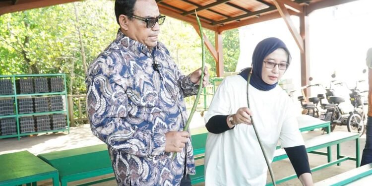 PPU Pelajari Rehabilitasi Mangrove Bali