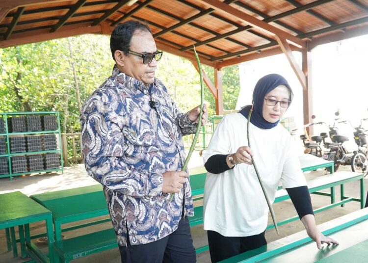 PPU Pelajari Rehabilitasi Mangrove Bali