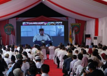 PLN Sukseskan Peluncuran KDKMP