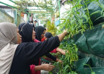 Mitra KPI Maksimalkan Lahan Bertani
