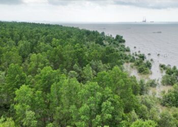 KPB Bersama Warga Tanam 600 Bibit Mangrove