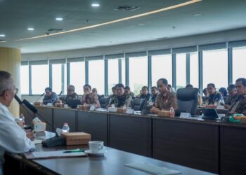 PLN Komitmen Percepatan Listrik Hijau IKN