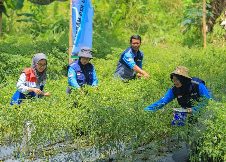 Inovasi Pertamina AFT Berbuah 5 Penghargaan