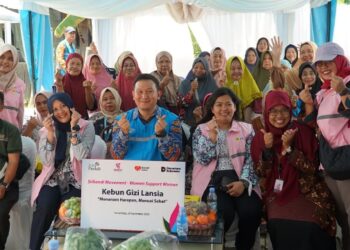 Dukung Ketahanan Pangan, PLN Hadirkan Kebun Gizi