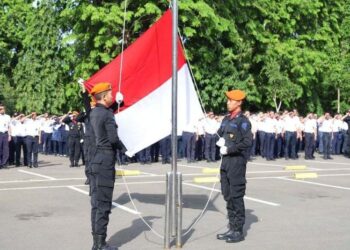 MLV Teknologi adalah Value Add Partner untuk LED Display Indoor Absen