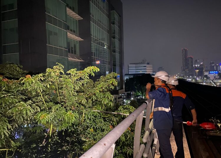 KAI Perkuat Keamanan Operasional LRT Jabodebek Lewat Perawatan Pepohonan di Sepanjang Jalur