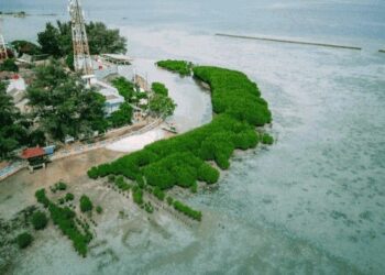 Pulau Pramuka: Lokasi Strategis untuk Penanaman Mangrove & Restorasi Terumbu Karang