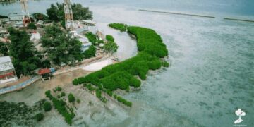 Pulau Pramuka: Lokasi Strategis untuk Penanaman Mangrove & Restorasi Terumbu Karang