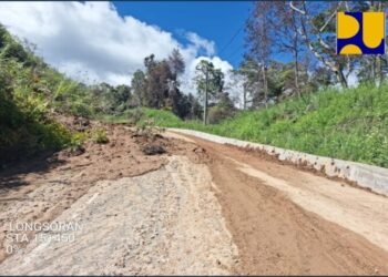 Keunggulan Kuliah di SATU University yang Bikin Mahasiswa Lebih Siap ke Dunia Profesional