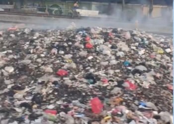 LindungiHutan Luncurkan Fitur Embed untuk Permudah Perusahaan Tampilkan Data CSR Secara Real-Time