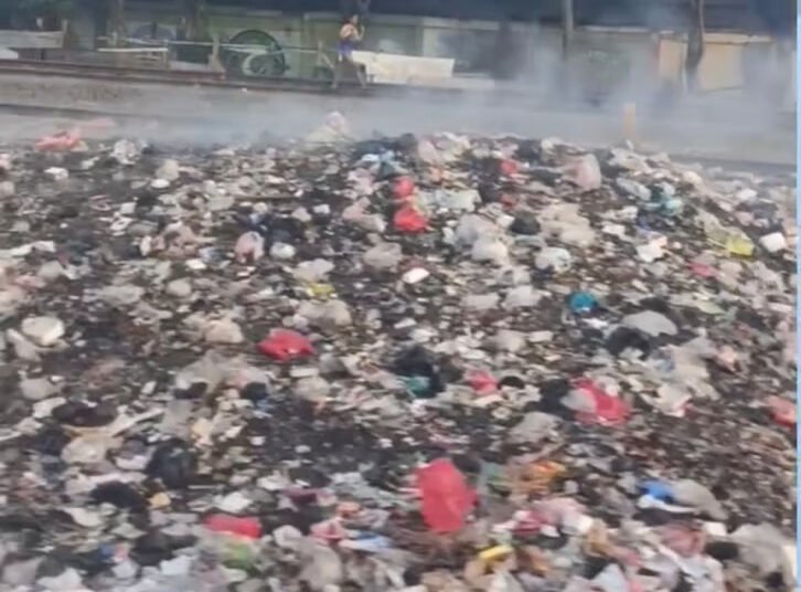 LindungiHutan Luncurkan Fitur Embed untuk Permudah Perusahaan Tampilkan Data CSR Secara Real-Time