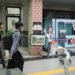 Menjelang Libur Nataru, 37.620 Tiket Kereta Api di Divre III Palembang Telah Terjual