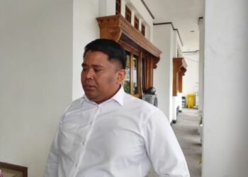 DPRD Dorong Penggunaan PJU Kabel Tanam