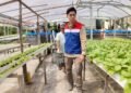 Binaan Pertamina Panen Ikan Nila