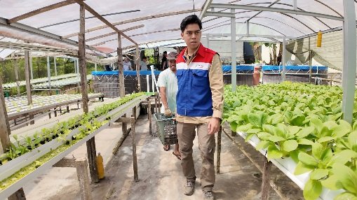 Binaan Pertamina Panen Ikan Nila